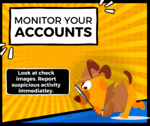 Monitor Your Accounts